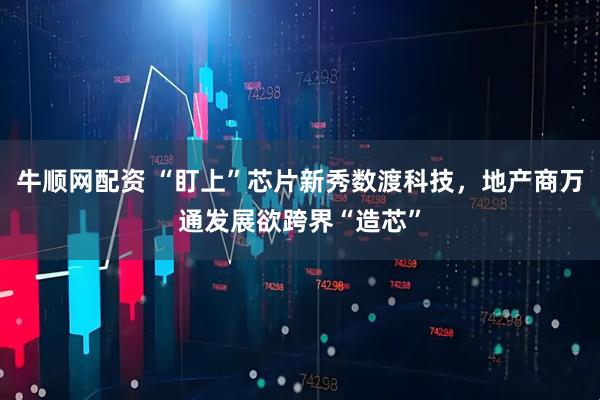 牛顺网配资 “盯上”芯片新秀数渡科技,地产商万通发展欲跨界“造芯”