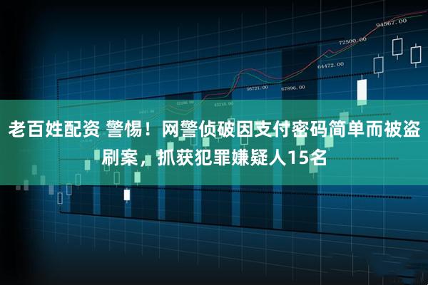 老百姓配资 警惕！网警侦破因支付密码简单而被盗刷案，抓获犯罪嫌疑人15名