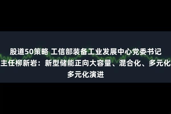 股道50策略 工信部装备工业发展中心党委书记、副主任柳新岩：新型储能正向大容量、混合化、多元化演进