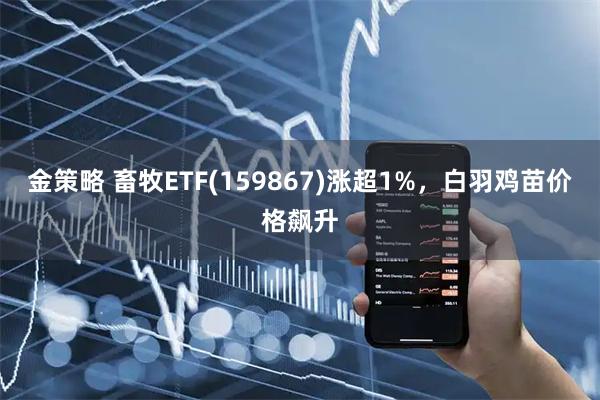 金策略 畜牧ETF(159867)涨超1%，白羽鸡苗价格飙升